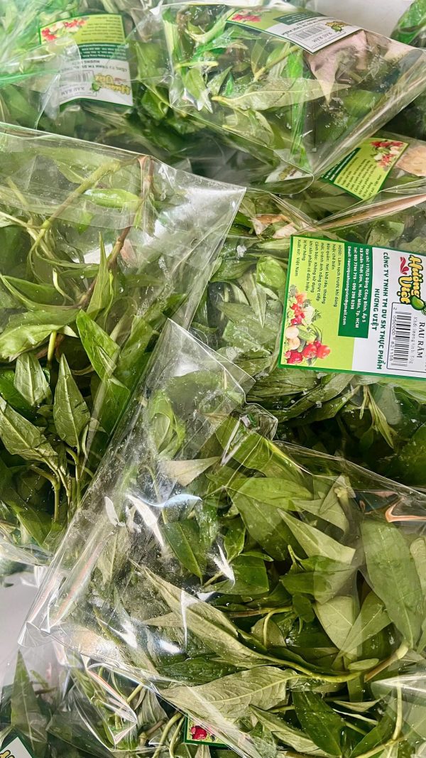 Rau Răm – Thực Phẩm Hương Việt